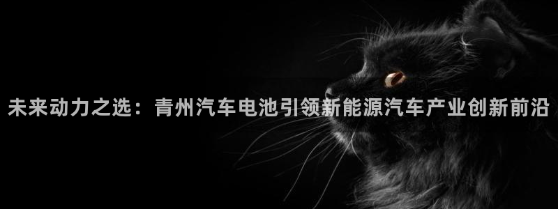 优发国际注册平台怎么样：未来动力之选：青州汽车电池引领新能源汽车产业创新前沿