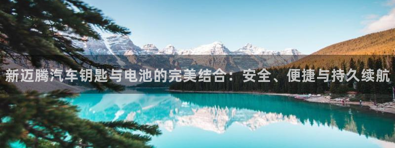 优发国际官方网手机版app：新迈腾汽车钥匙与电池的完美结合：安全、便捷与持久续航