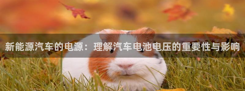 优发国际官网入口app下载