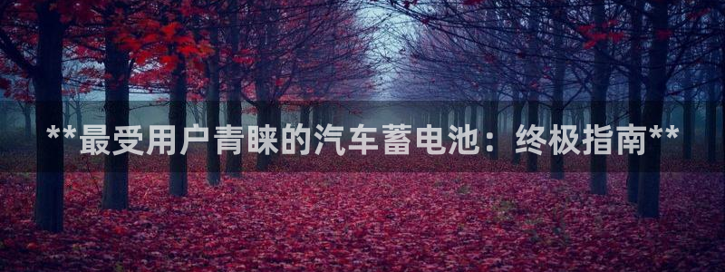 优发国际app登录不了