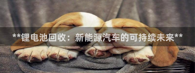 优发国际注册平台怎么样