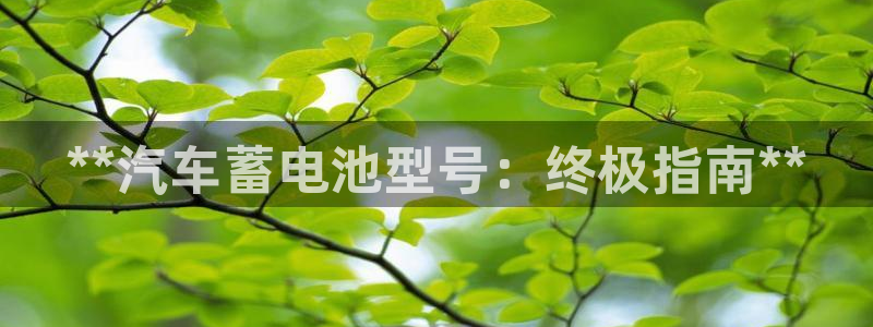 优发国际可以玩吗