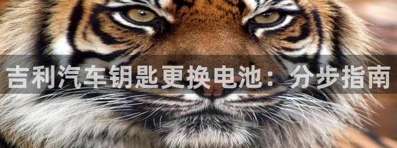 优发国际是大平台吗知乎