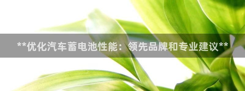 优发国际手机安装登录失败