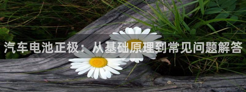 优发国际手机客户端官网