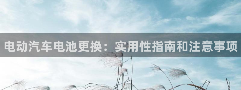 优发国际平台u8是什么公司