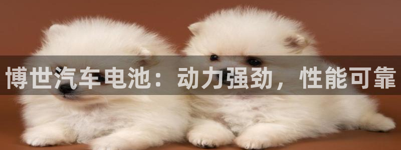 优发国际是什么