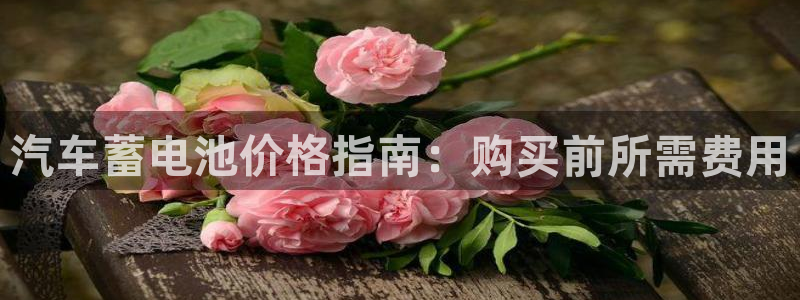优发国际官网手机版下载安卓