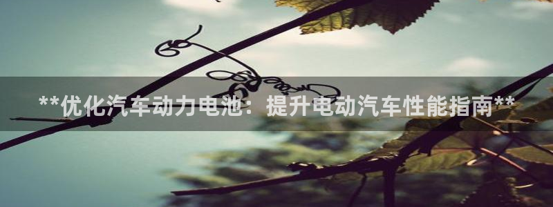 优发国际可以玩吗