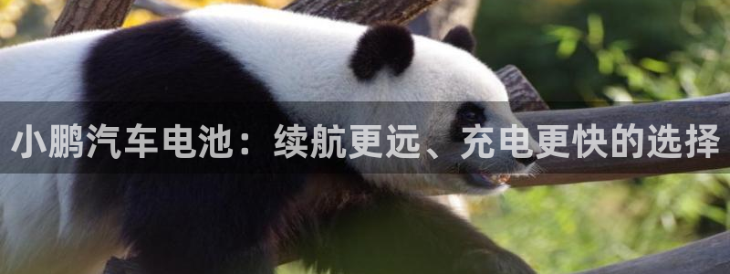 优发国际软件下载官网