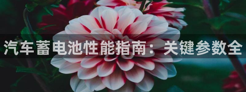 优发国际客服联系方式是什么
