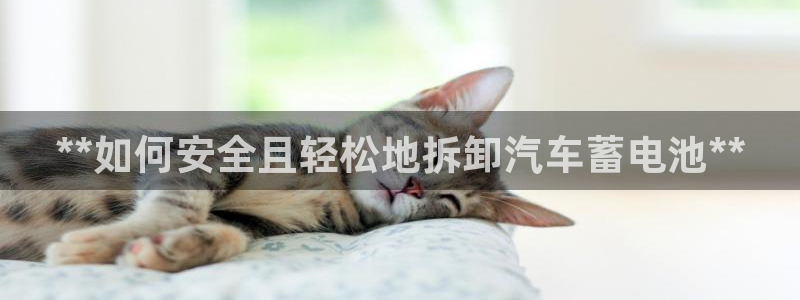 优发国际官网网站首页