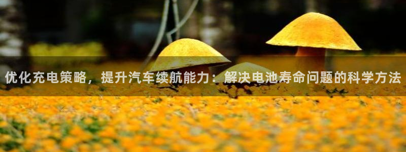 优发国际登录首页官网