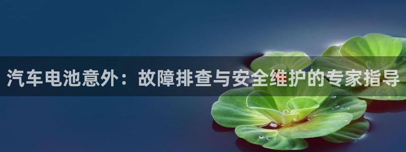 优发国际手机版下载