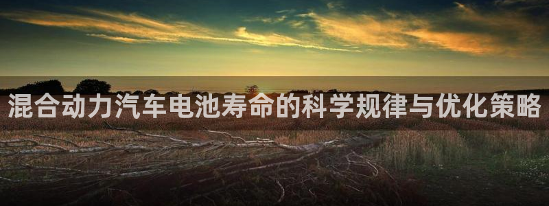 优发国际网官网17w8