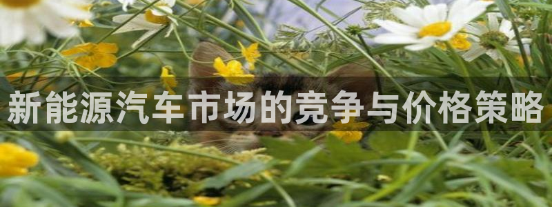 优发国际这个平台怎么样知乎