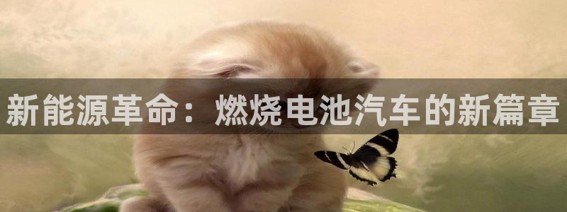 优发国际安卓版下载安装教程