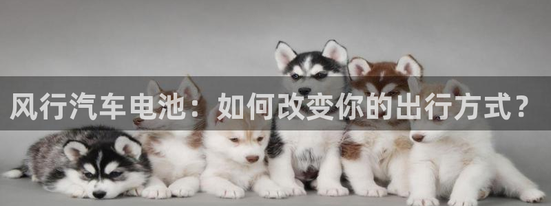 优发国际的官网是什么：风行汽车电池：如何改变你的出行方式？