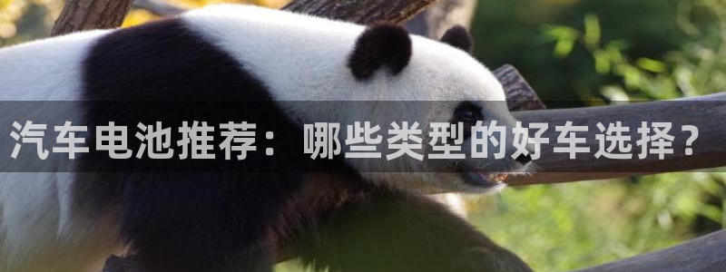 优发国际不出款