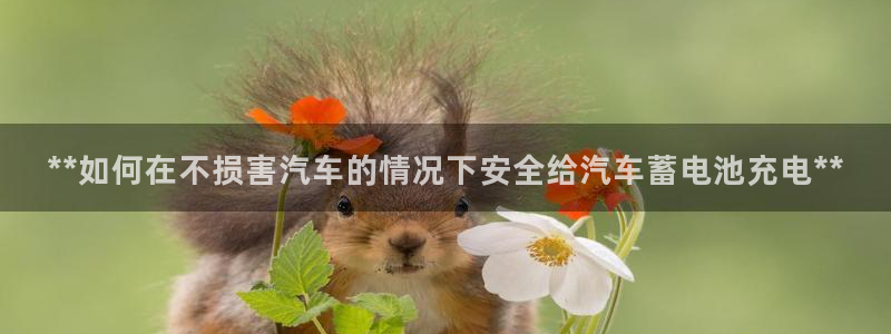 优发国际登录l8