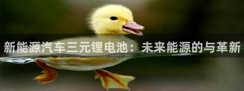 优发国际平台u8是什么软件