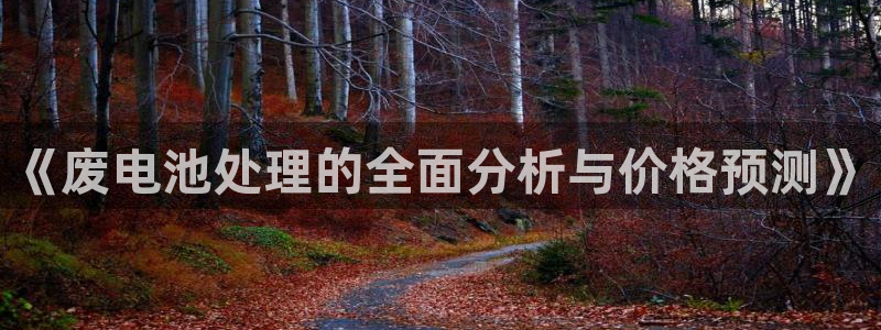 优发国际手机版唯一官网是什么