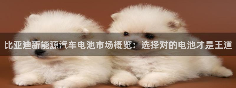 优发国际app官网下载安装手机版