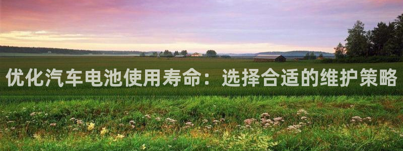 优发国际手机客户端官网首页：优化汽车电池使用寿命：选择合适的维护策略