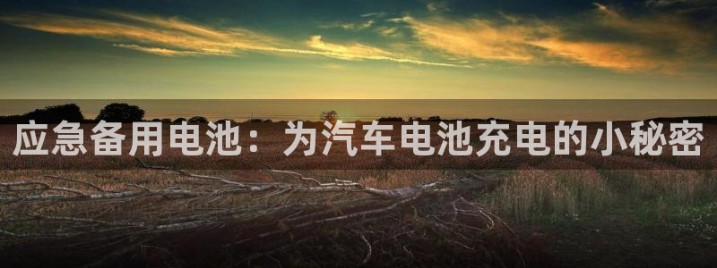 优发国际手机版下载官网：应急备用电池：为汽车电池充电的小秘密