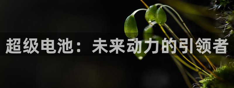 优发国际官网网站首页：超级电池：未来动力的引领者