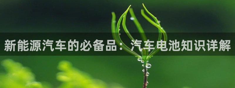 优发国际集团股份有限公司是国企吗：新能源汽车的必备品：汽车电池知识详解