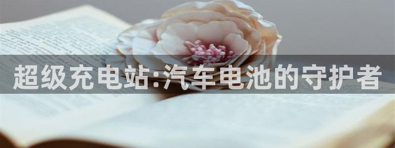 优发国际网官网：超级充电站:汽车电池的守护者