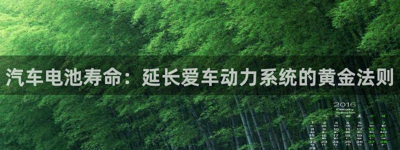 优发国际youfa966：汽车电池寿命：