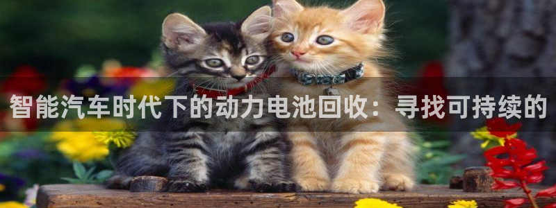 优发国际登录l8：智能汽车时代下的动力电池回收：寻找可持续的