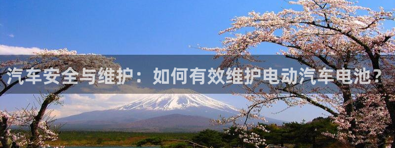 优发国际官网下载：汽车安全与维护：如何有效维护电动汽车电池？